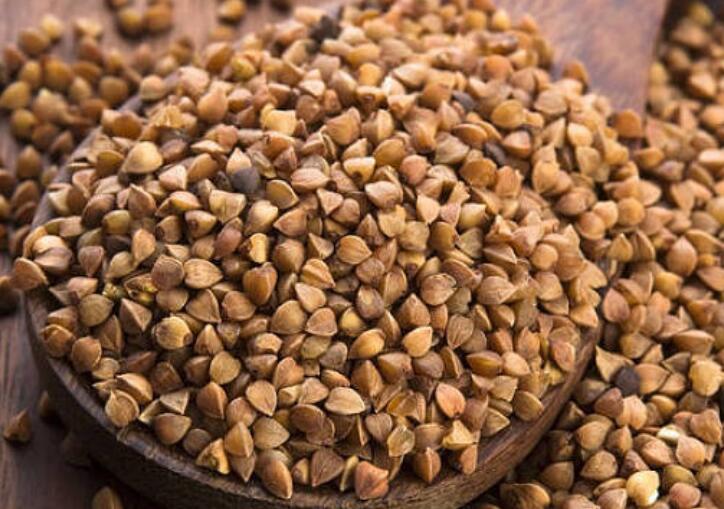 1636618000570458.jpg 1636618000570458.jpg