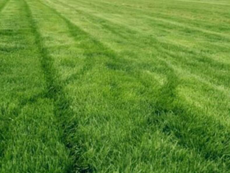 1636643807546741.jpg 1636643807546741.jpg