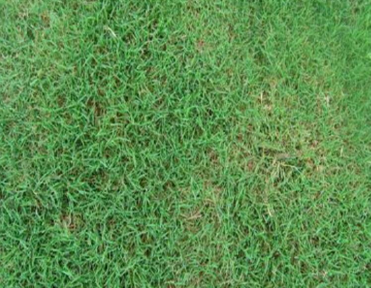 1636643827993561.jpg 1636643827993561.jpg