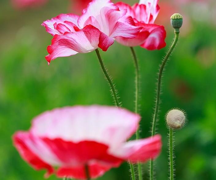 1636964300307070.jpg 1636964300307070.jpg