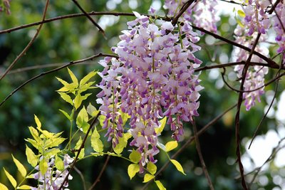 1636976038687036.jpg 1636976038687036.jpg