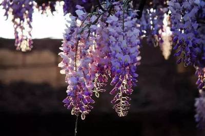 1636976075138159.jpg 1636976075138159.jpg