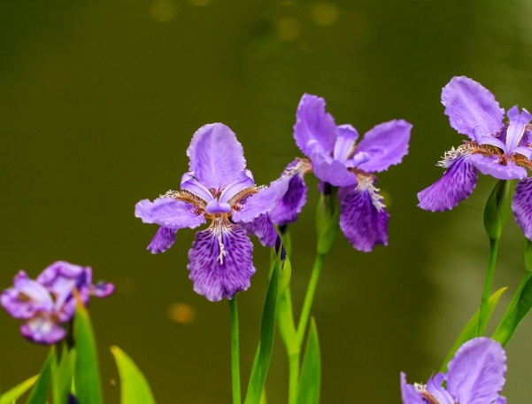 1636979958657858.jpg image.jpg