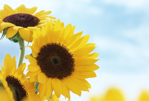 1637023677467659.jpg image.jpg