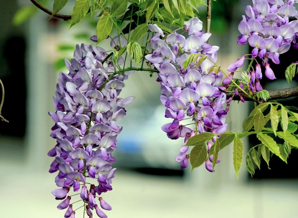 1637024844889716.jpg image.jpg