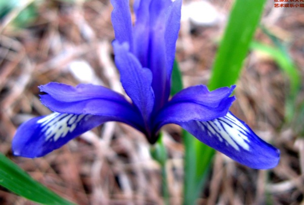 1637025237417097.jpg image.jpg