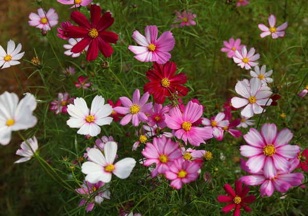 1637026164754531.jpg image.jpg