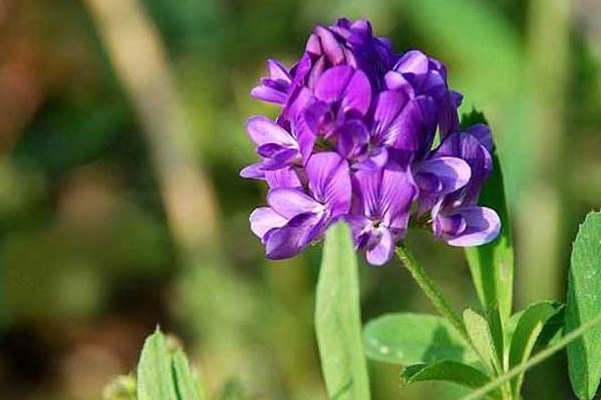 1637026329553274.jpg image.jpg