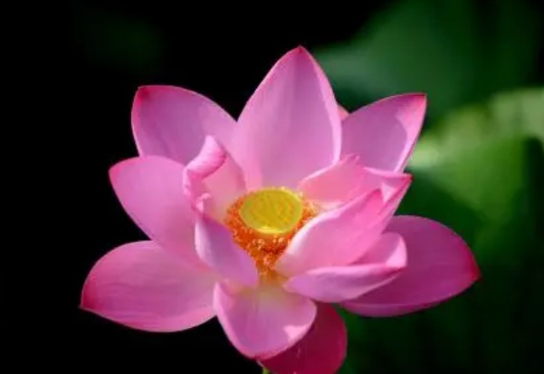 1637028695253777.jpg image.jpg