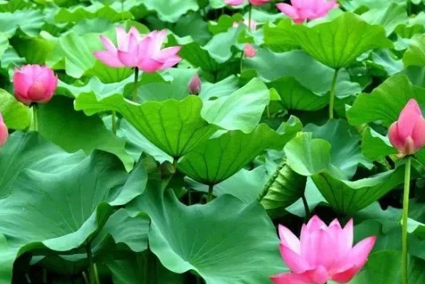 1637028707127147.jpg image.jpg