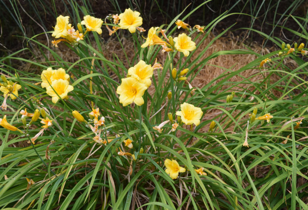 1637058056206003.jpg 1637058056206003.jpg