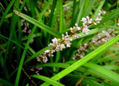 1637058560262331.jpg 1637058560262331.jpg