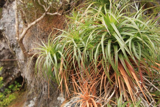 1637058578469469.jpg 1637058578469469.jpg