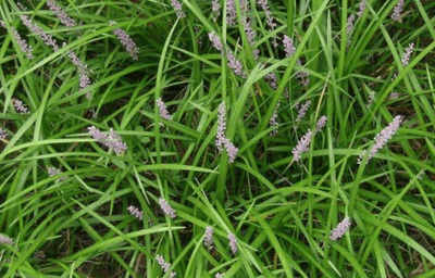 1637144734247479.jpg 1637144734247479.jpg