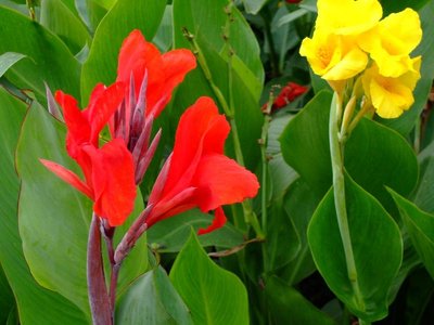 1637144908422836.jpg 1637144908422836.jpg