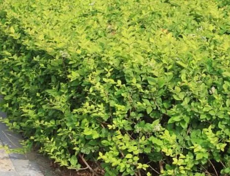 1637145934878951.jpg 1637145934878951.jpg