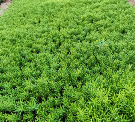 1637249180598412.jpg 1637249180598412.jpg