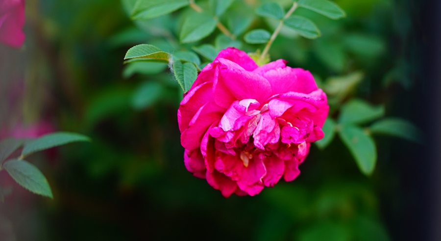 1637373988983859.jpg 1637373988983859.jpg