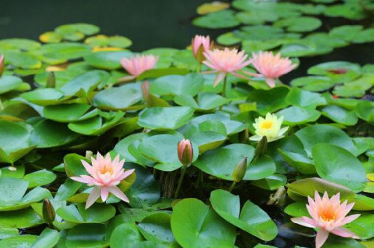 1637656712336803.jpg 444444444444444444444444444.jpg