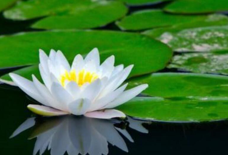 1637656740829206.jpg 555555555555555555555555.jpg