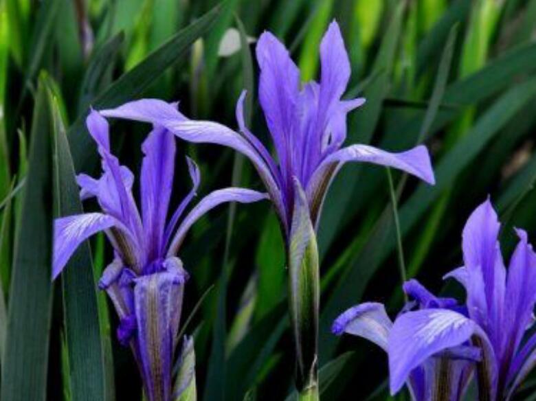 1637827922628271.jpg 1637827922628271.jpg