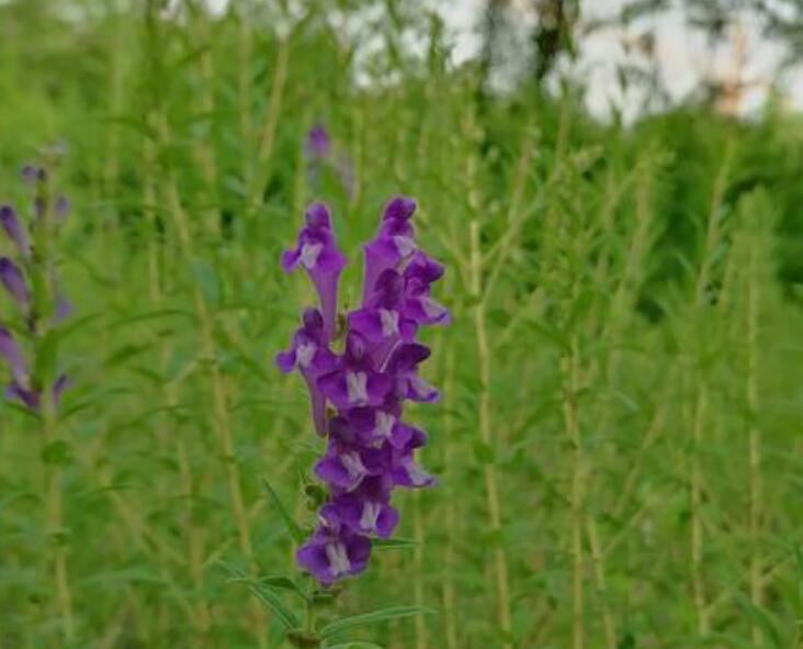 1637854958571848.jpg 1637854958571848.jpg