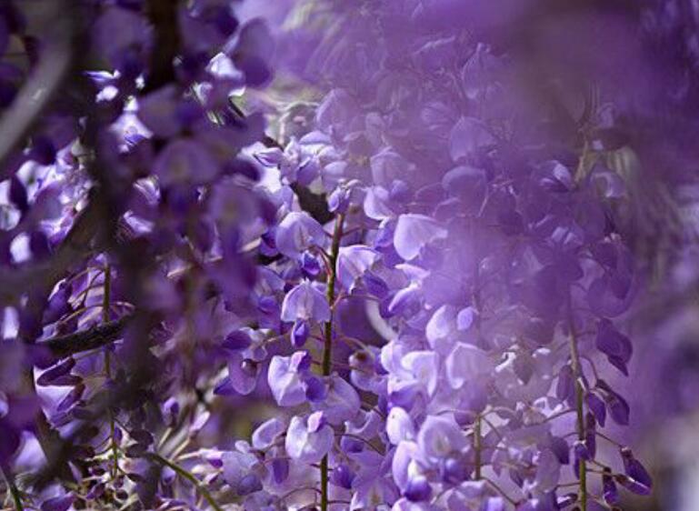 1637855598203535.jpg 1637855598203535.jpg