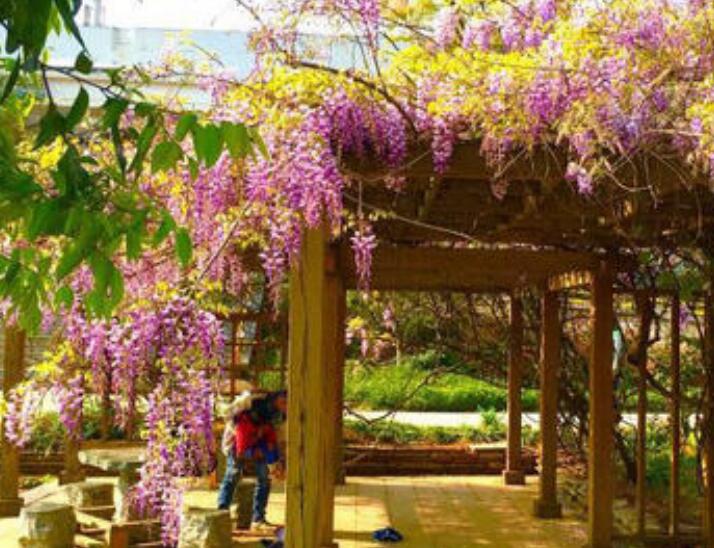 1637855651983253.jpg 1637855651983253.jpg