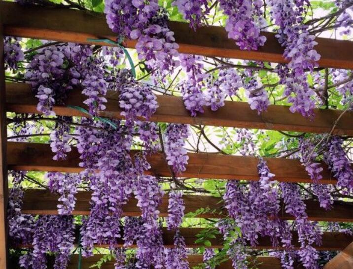 1637855675274767.jpg 1637855675274767.jpg