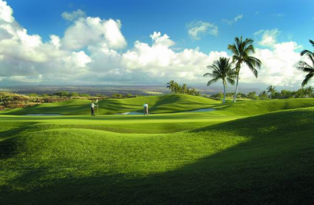 1637919853922252.jpg 1637919853922252.jpg