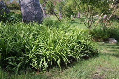 1637920883564794.jpg 1637920883564794.jpg