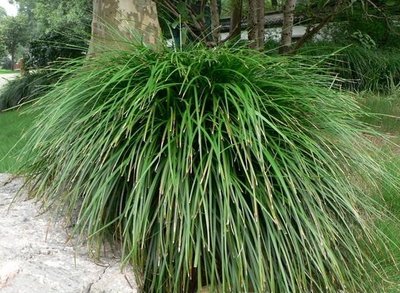 1637921055671965.jpg 1637921055671965.jpg