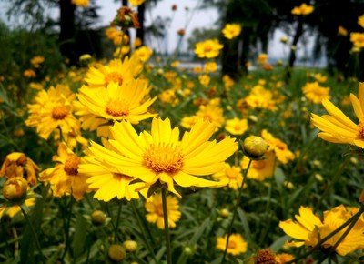 1637921753782965.jpg 1637921753782965.jpg