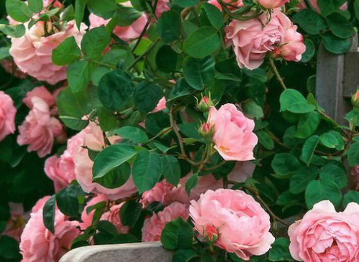 1637936311105367.jpg 1637936311105367.jpg