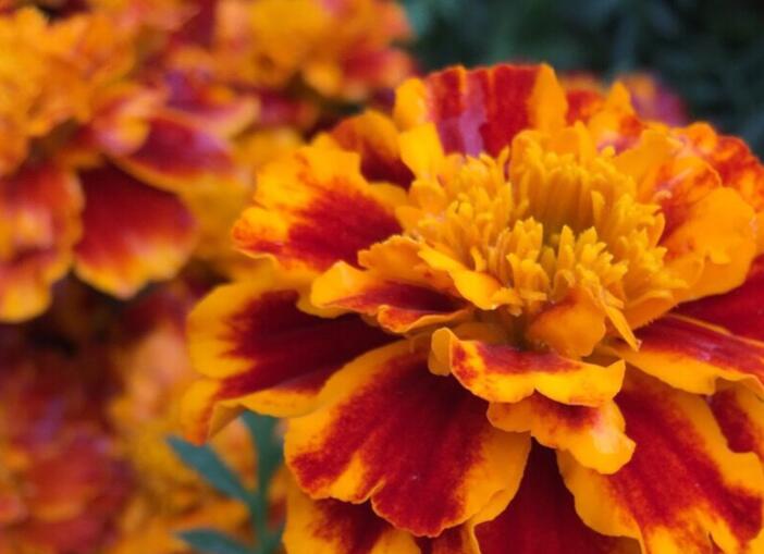 1638024549927155.jpg 1638024549927155.jpg