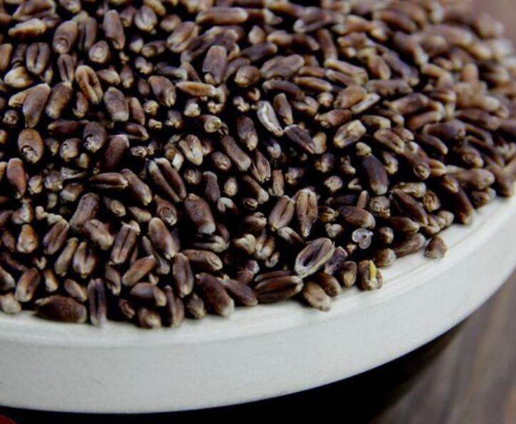 1638083332509267.jpg 1638083332509267.jpg