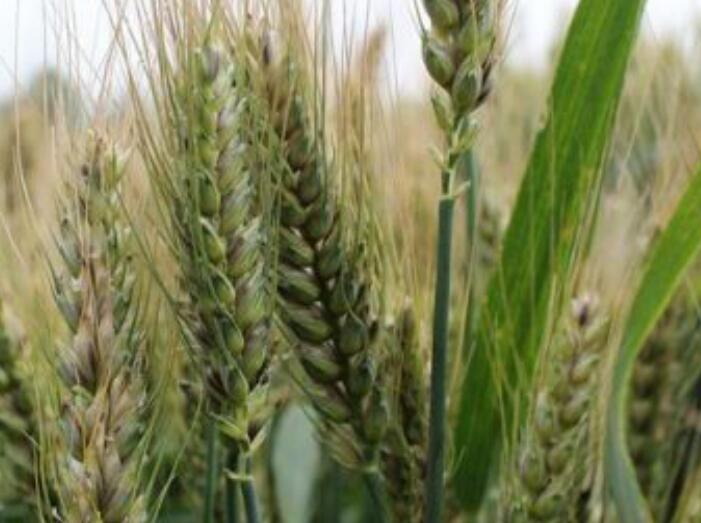 1638083350962243.jpg 1638083350962243.jpg