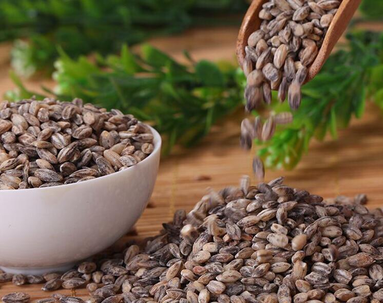 1638083366579240.jpg 1638083366579240.jpg