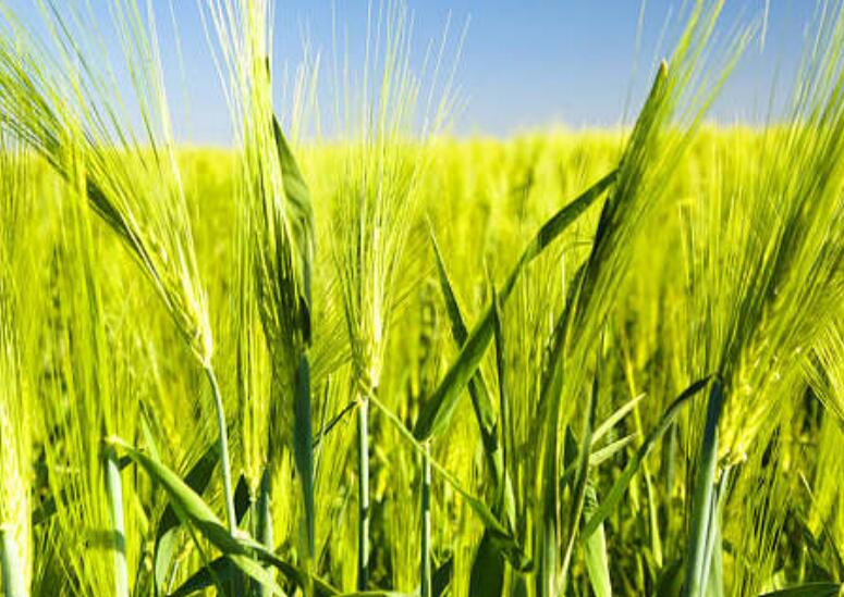 1638109073376461.jpg 1638109073376461.jpg