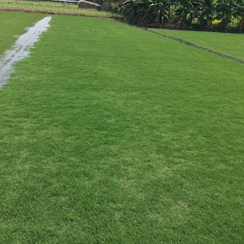 1638181069472181.jpg 1638181069472181.jpg