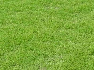 1638181096723518.jpg 1638181096723518.jpg