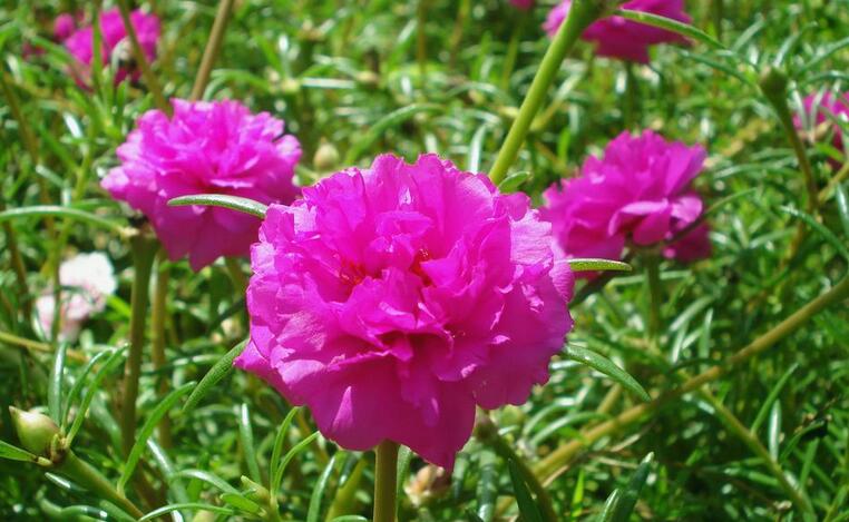 1638247737344676.jpg 1638247737344676.jpg