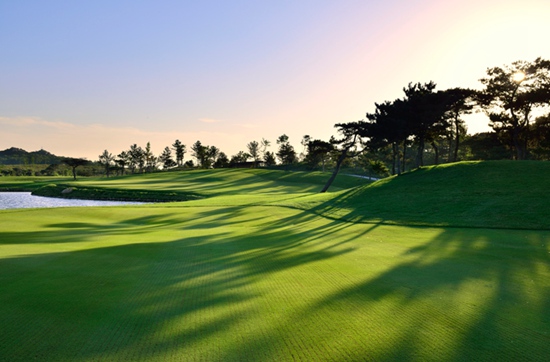 1638322359746510.jpg 1638322359746510.jpg