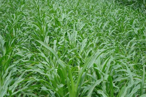 1638324254130125.jpg 1638324254130125.jpg