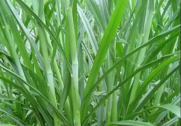 1638324283424028.jpg 1638324283424028.jpg