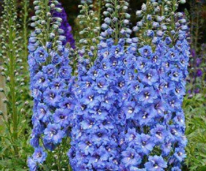 1638376148973726.jpg 1638376148973726.jpg