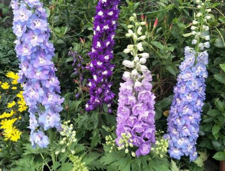 1638376191537165.jpg 1638376191537165.jpg