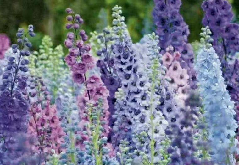 1638376294710023.jpg 1638376294710023.jpg