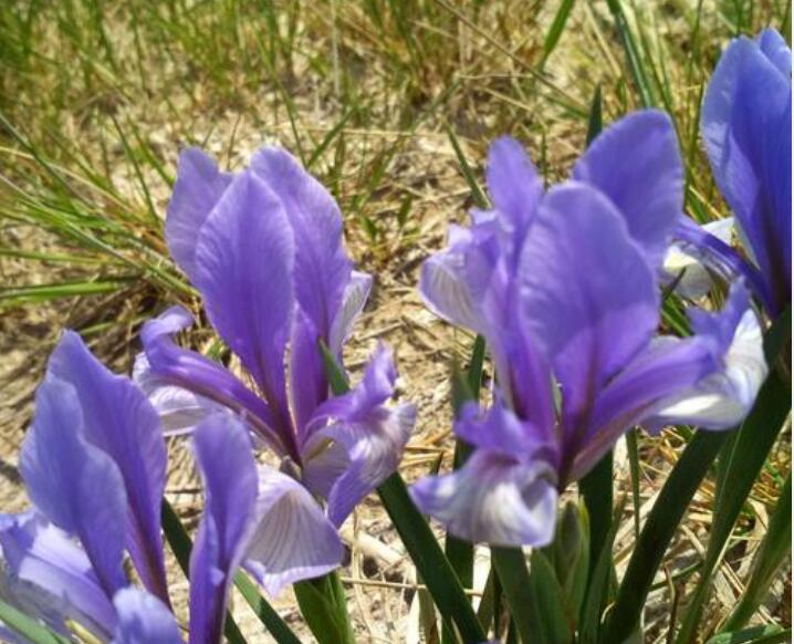 1638424084143093.jpg 1638424084143093.jpg