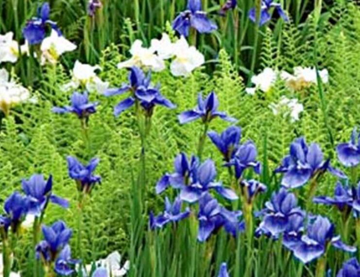 1638424120783140.jpg 1638424120783140.jpg